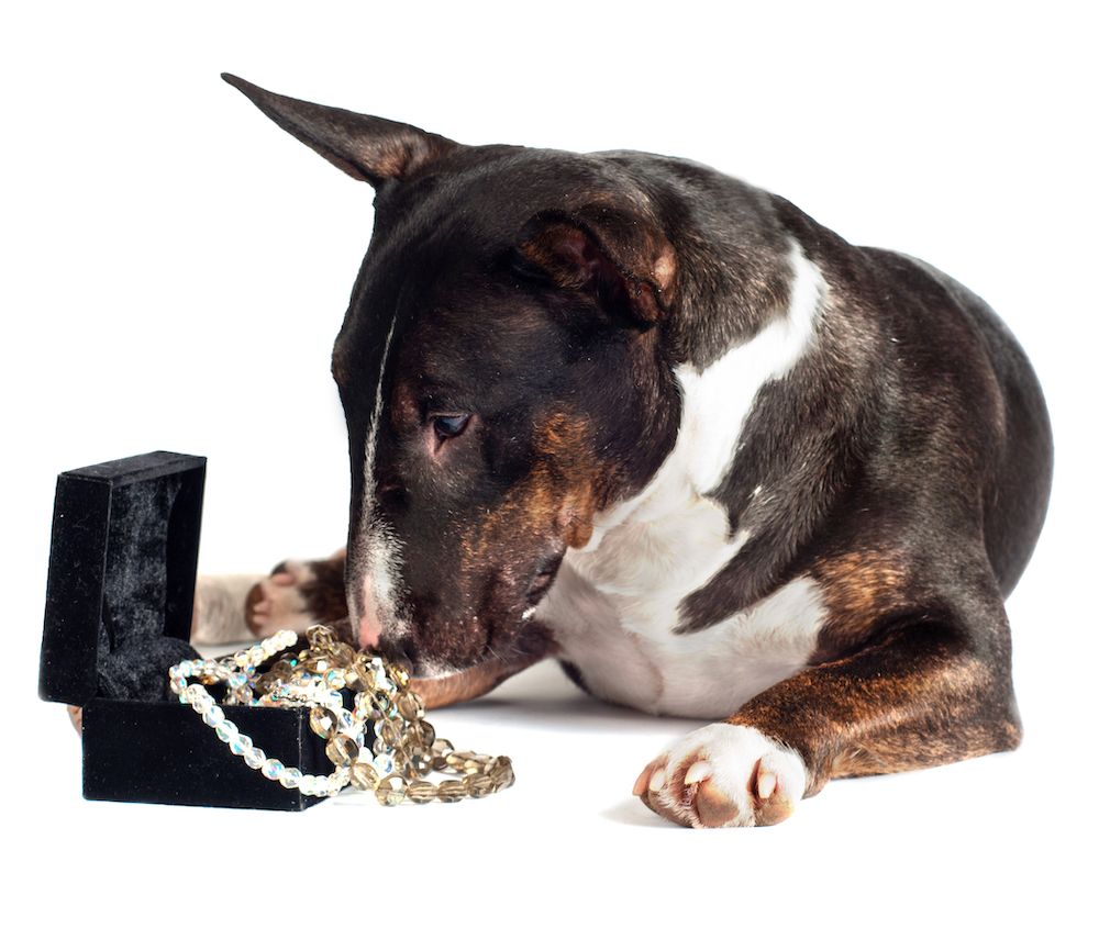 One Man’s Trash … 